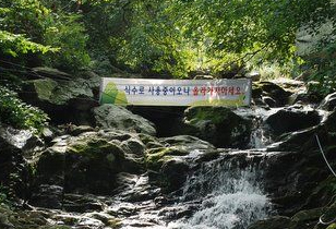 대궐펜션&산장, 최상류 계곡